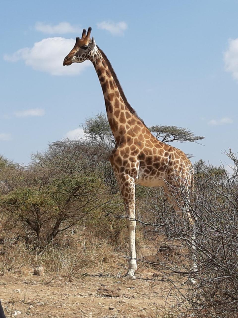 Sandai Resort Lake Baringo Ol Kokwe Exterior photo
